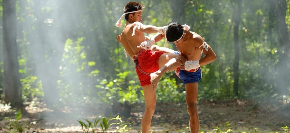 Muay Thai Roundhouse Kick 2 roundhouse