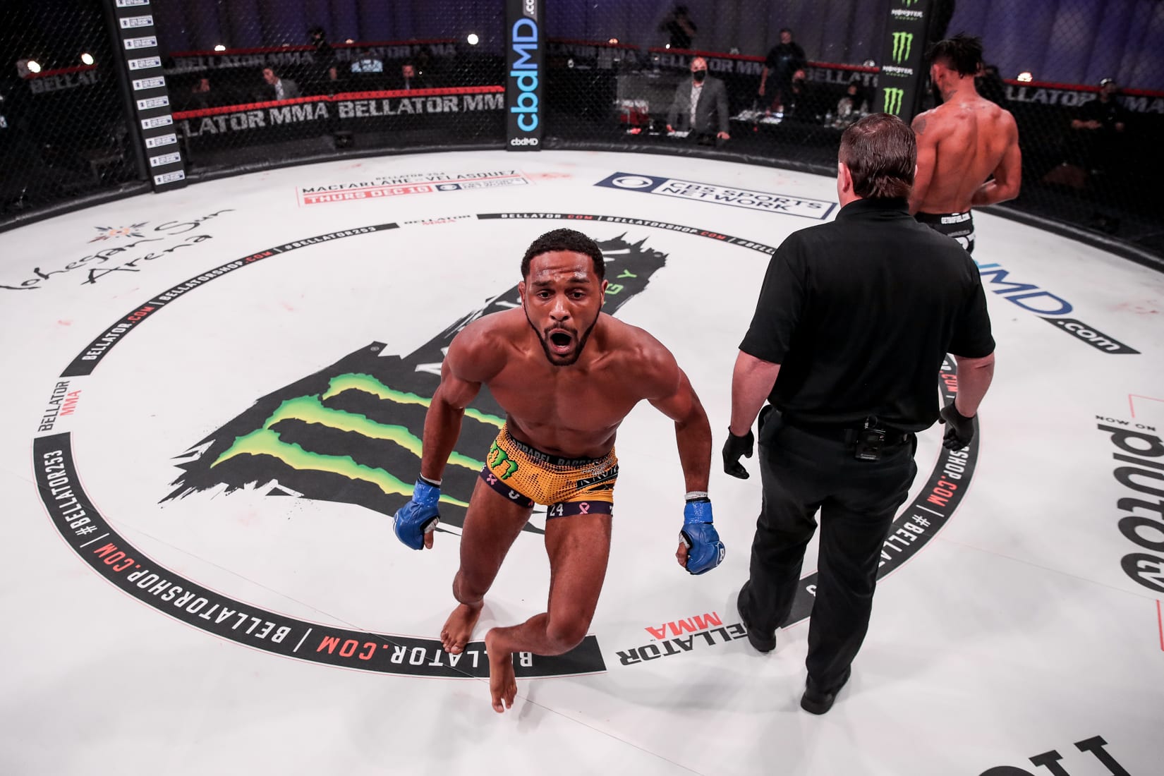 Video| Bellator 253: Full Results & Highlights 1 Mckee 1