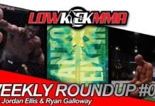 The Weekly Roundup