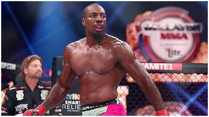 Phil Davis Will Fight For The Bellator 205lb Title Before Corey Anderson 1 Phil Davis