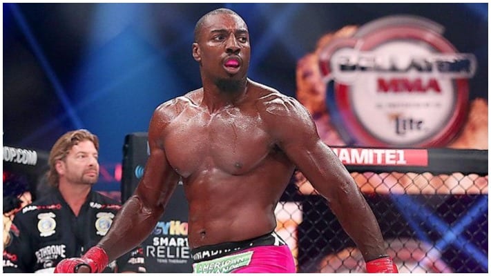 Phil Davis Will Fight For The Bellator 205lb Title Before Corey Anderson