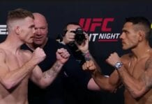 Dos Anjos Felder