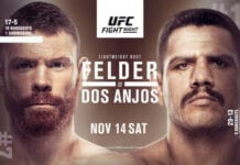 Felder