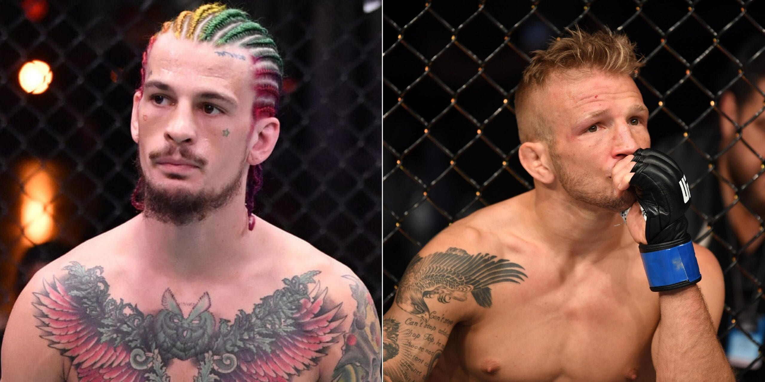 Sean O'Malley Questions How T.J. Dillashaw Deserves Immediate Title Shot 1 O'Malley