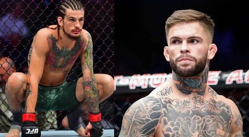 Cody Garbrandt