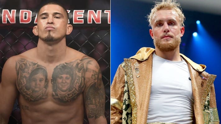 Anthony Pettis 'Would Love To Box', Eyes Jake Paul As Potential Opponent 1 Anthony Pettis