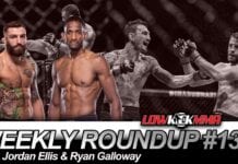 The Weekly Roundup
