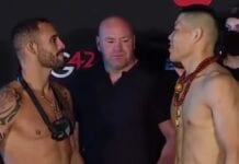 Ponzinibbio Jingliang