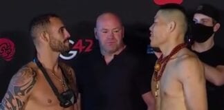 Ponzinibbio Jingliang