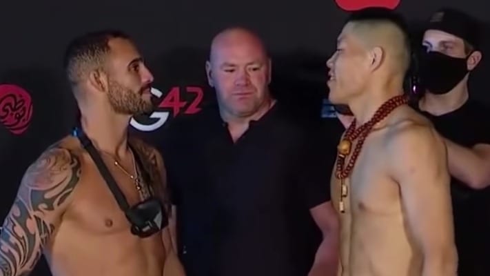 Ponzinibbio Jingliang