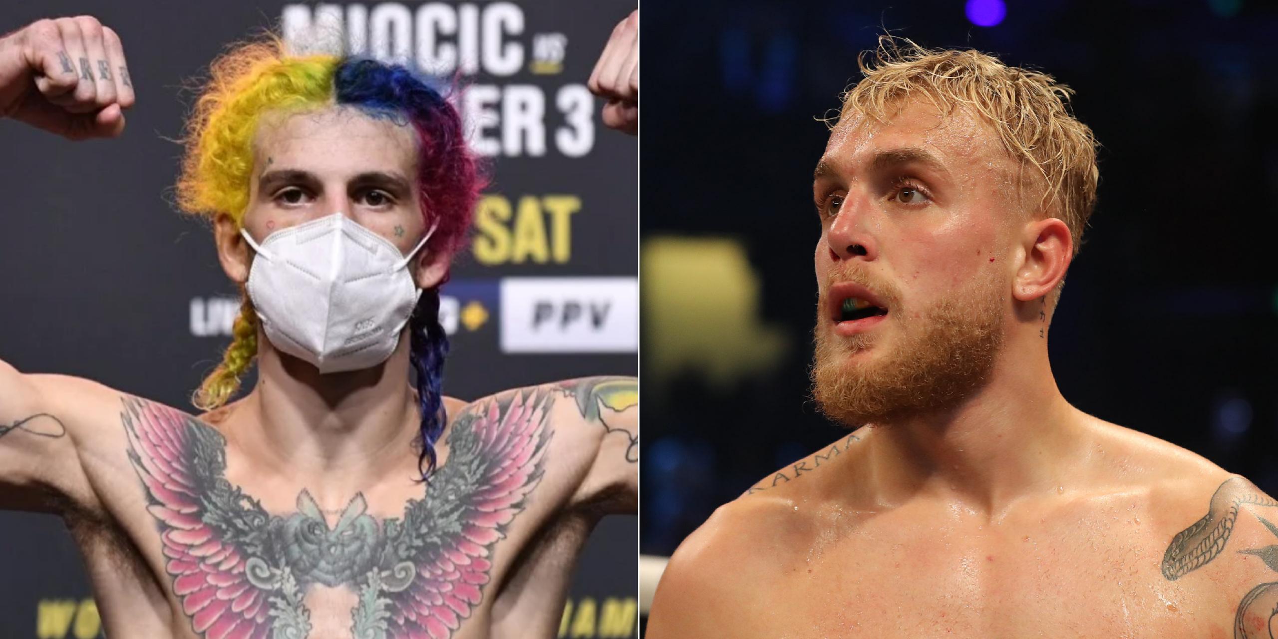 Sean O'Malley Picks Jake Paul To Beat Ben Askren In Boxing Match 1 O'Malley