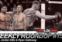 The Weekly Roundup