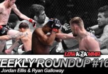 The Weekly Roundup