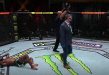 Yan Aljamain Sterling