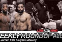 The Weekly Roundup