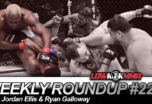 The Weekly Roundup