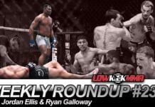 The Weekly Roundup