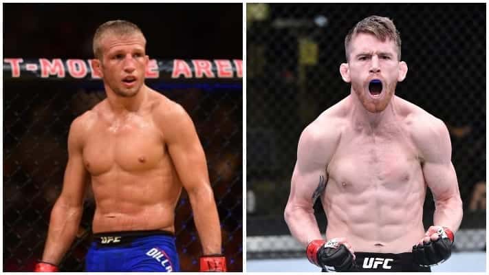 Cory Sandhagen Is Grossed Out By TJ Dillashaw’s Cheating