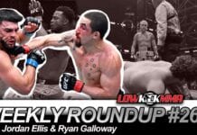 The Weekly Roundup