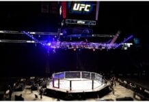 UFC 261