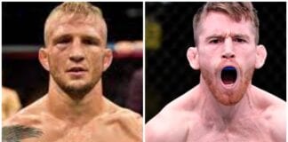 Dillashaw Sandhagen