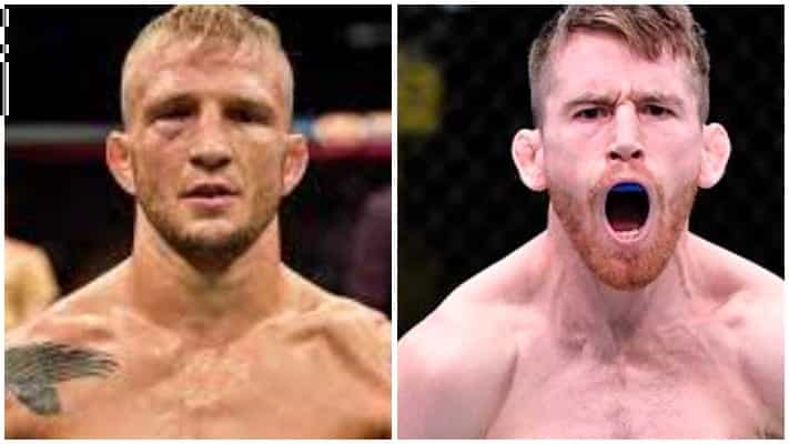 T.J. Dillashaw Plans To Beat ‘Douche’ Cory Sandhagen, Reclaim 135lb Title