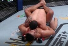 Whittaker Gastelum
