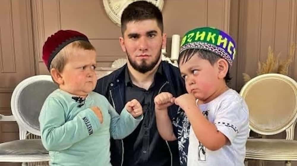 Russia's Dwarf Athletic Association Concerned By 'Unethical' Hasbulla Magomedov Fight 1 Hasbulla Magomedov
