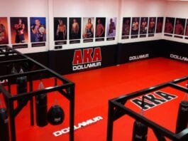 American Kickboxing Academy