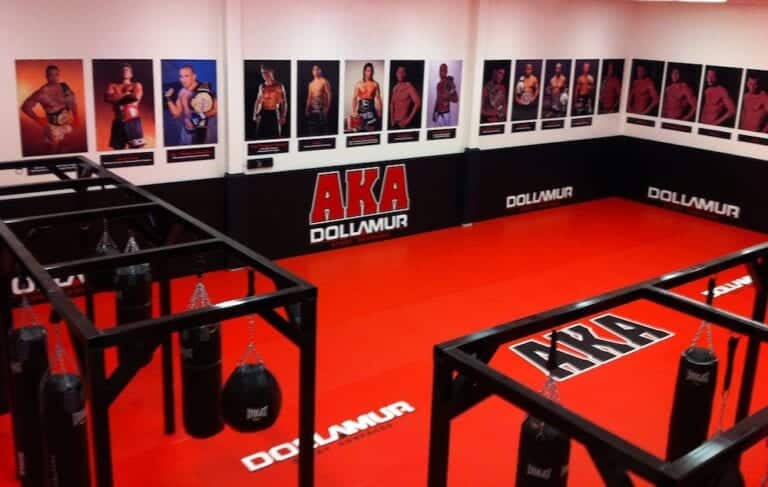 American Kickboxing Academy (AKA) – MMA Gym