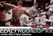 The Weekly Roundup