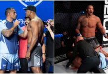 Fabricio Werdum
