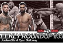 The Weekly Roundup