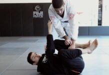 spider guard