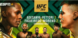 UFC 263