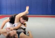 donkey guard