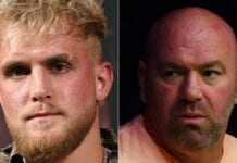 Jake Paul Dana White