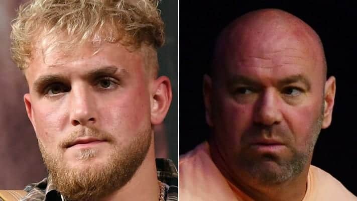 Jake Paul Continues Attacks on Dana White over UFC Fighter Pay 1 Jake Paul Dana White