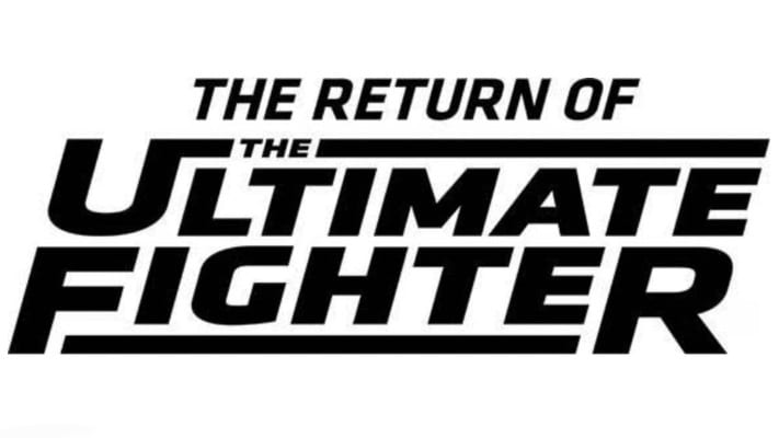 The Ultimate Fighter