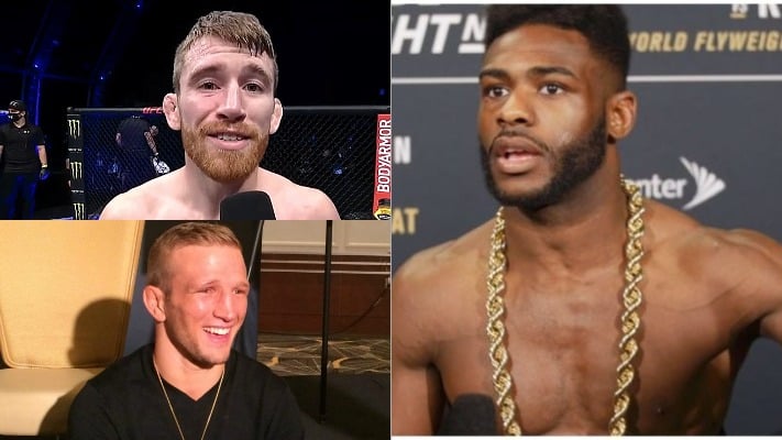 Aljamain Sterling Unsure On Sandhagen Title Shot With Dillashaw Win