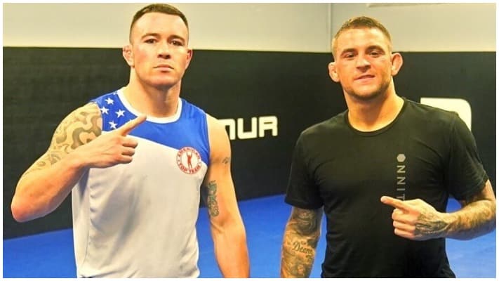 Colby Covington