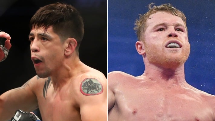 Brandon Moreno Canelo Alvarez