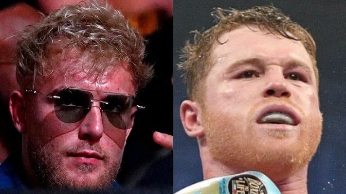 Jake Paul Canelo Alvarez