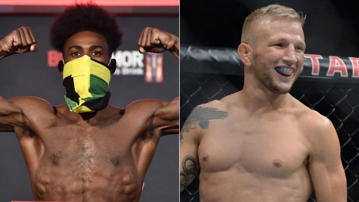 Aljamain Sterling T.J. Dillashaw