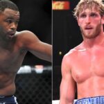 Rashad Evans