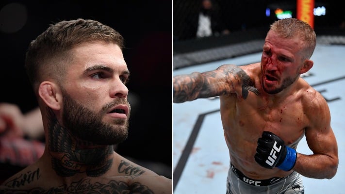 Cody Garbrandt Reacts To TJ Dillashaw’s Win Over Cory Sandhagen