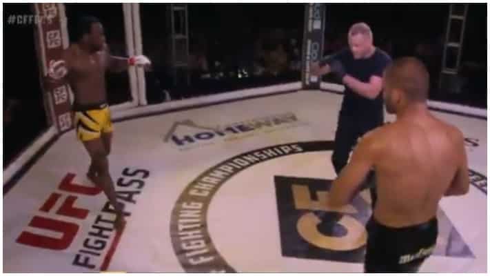 VIDEO | Giant Moth Brings MMA Fight To A Standstill