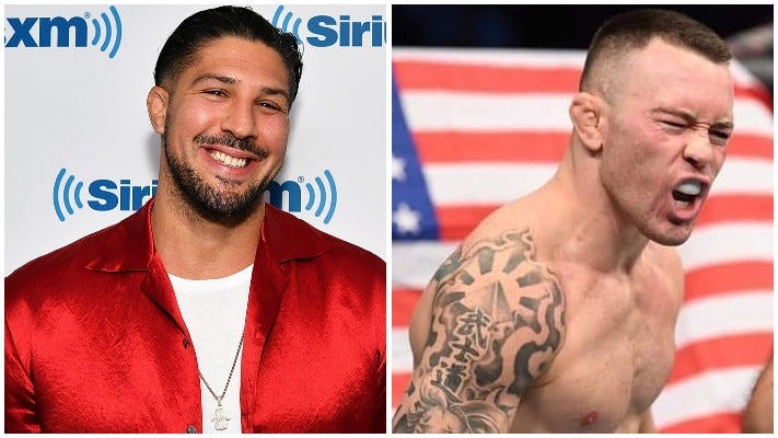 Brendan Schaub