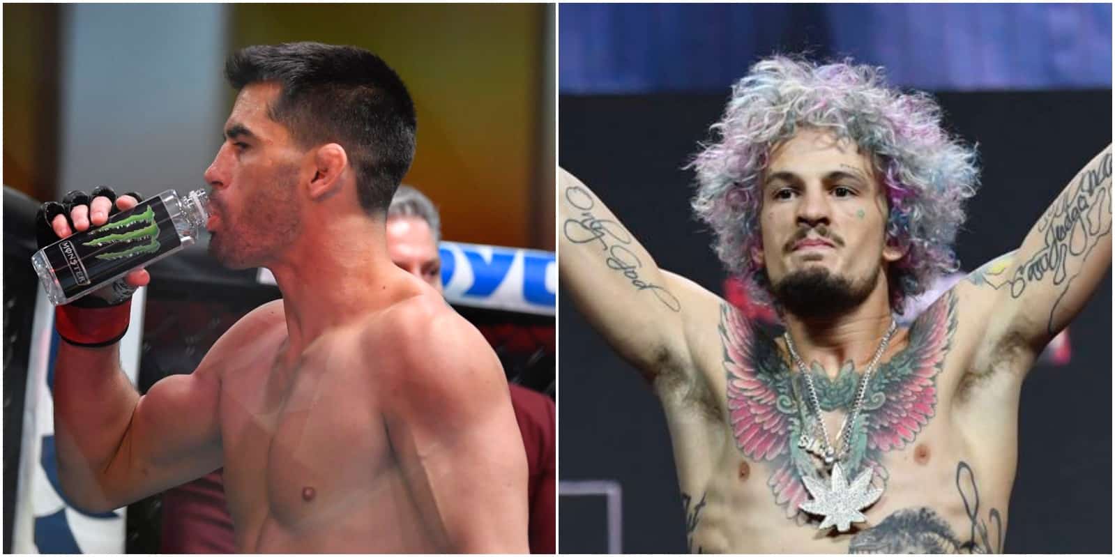 Dominick Cruz Shuts Down Sean O'Malley Fight Talk 1 Dominick Cruz