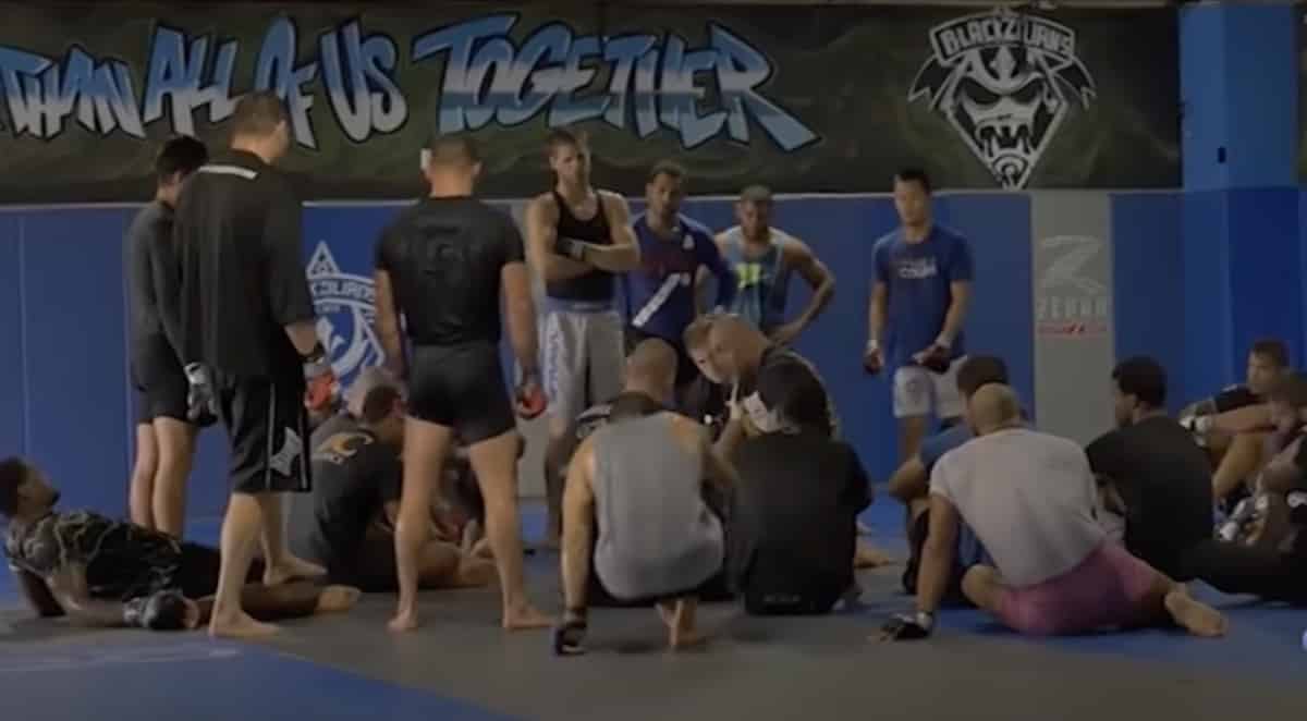 Blackzillians - The Rise And The Fall 1 Blackzilians